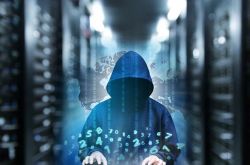 (10分钟教程)楚雄彝族自治州官网_哔哩哔哩-2